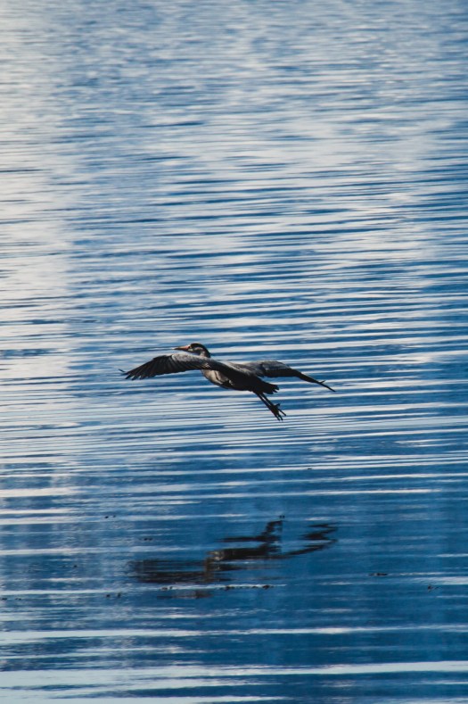 Tromsø, Norway (2018)